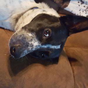 Meet your Posher, Jack